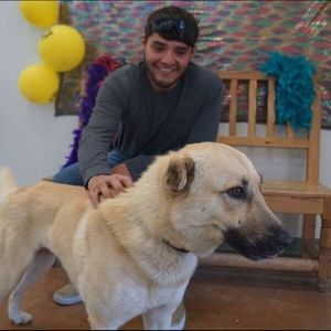 Meet your Posher, Michael